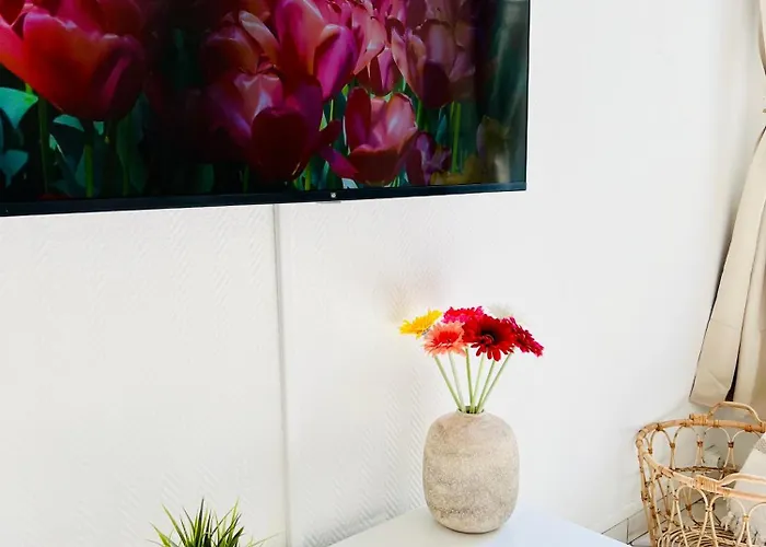 Valenstay - Cosy - - Netflix Anzin