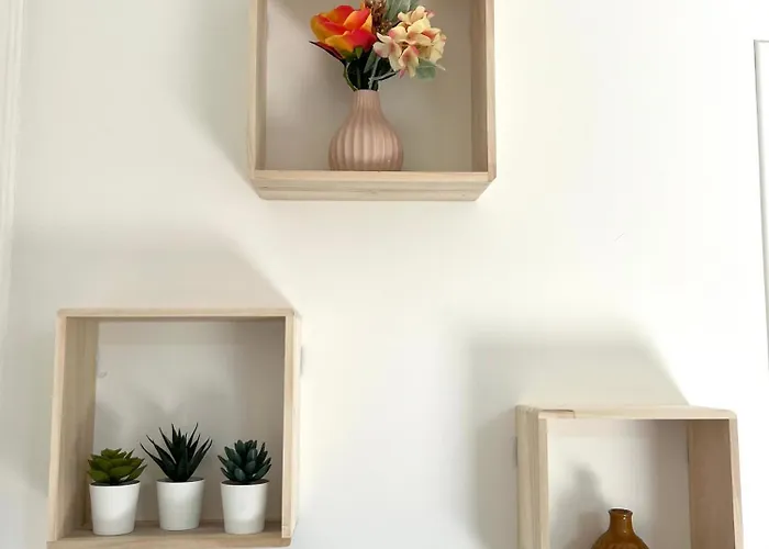 Valenstay - Cosy - - Netflix